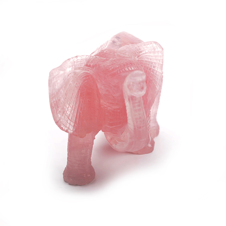 Detail Elephant carv
